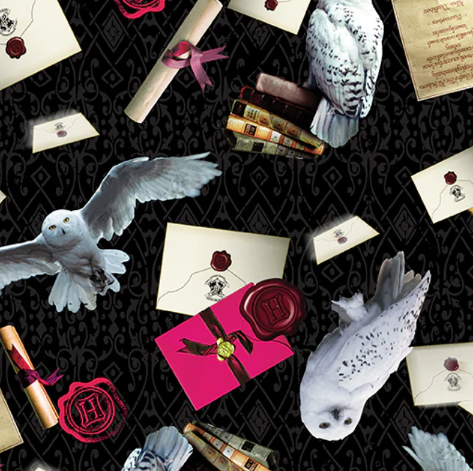 Harry Potter Owl Postal Service - Pre-order Will Arrive by Late Nov. 2025