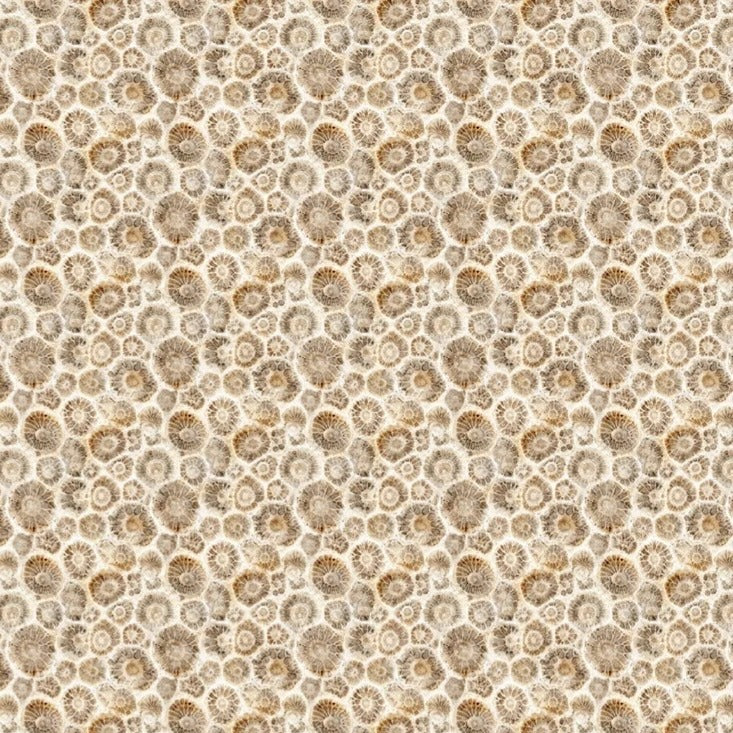 All Michigan Shop Hop Shells - PRE-ORDER NOW! Available June 1, 2026