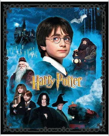 Harry Potter 36" Panel - Pre-order Will Arrive by Late Nov. 2025